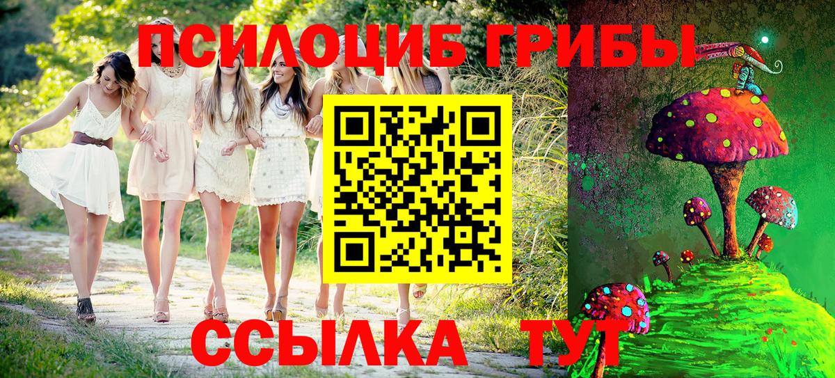 Галлюциногенные грибы мухоморы Великий Новгород