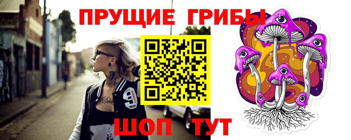 Великий Новгород  Псилоцибиновые грибы Psilocybe  Вход с VPN 
